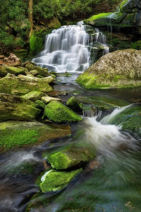 Framed Print : Moss at Elakala Falls in Blackwater Falls State Park, West Virginia, USA Framed Print : Moss at Elakala Falls in Blackwater Falls State Park, West Virginia, USA