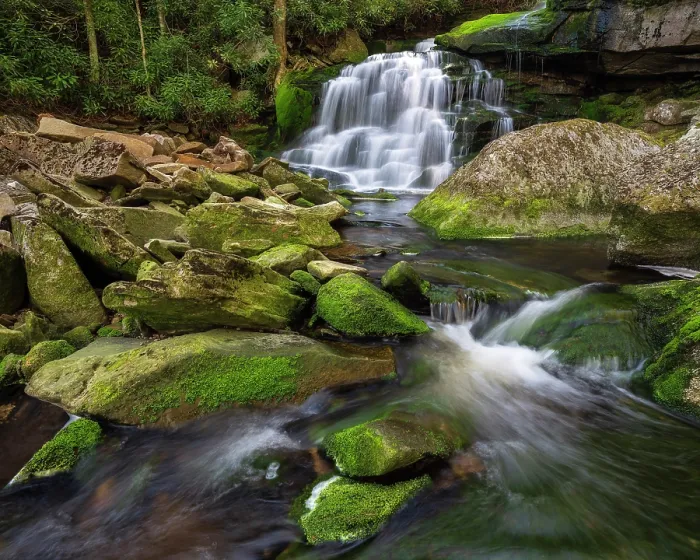 Framed Print : Moss at Elakala Falls in Blackwater Falls State Park, West Virginia, USA Framed Print : Moss at Elakala Falls in Blackwater Falls State Park, West Virginia, USA
