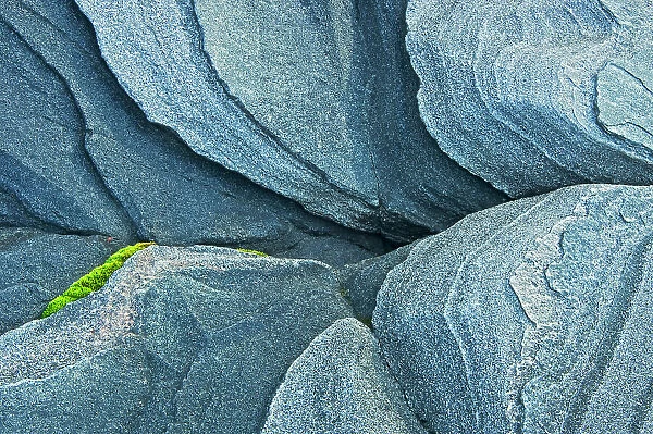Moss and pre-cambrian shield rock. Killbear Provincial Park, Ontario, Canada
