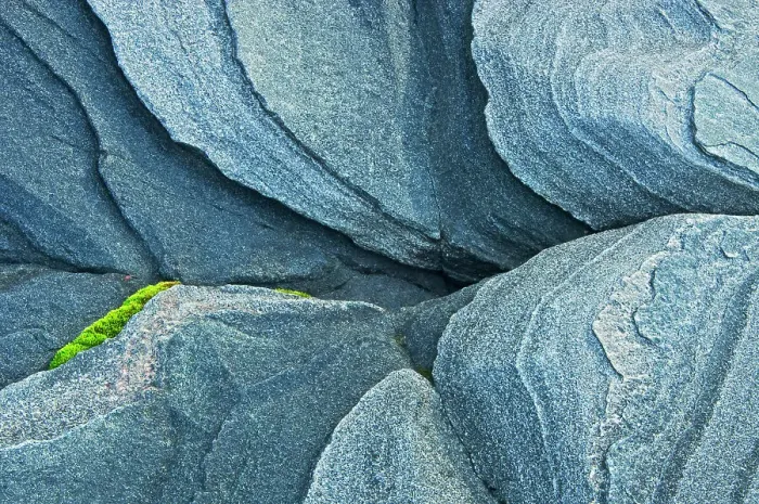 Framed Print : Moss and pre-cambrian shield rock. Killbear Provincial Park, Ontario, Canada