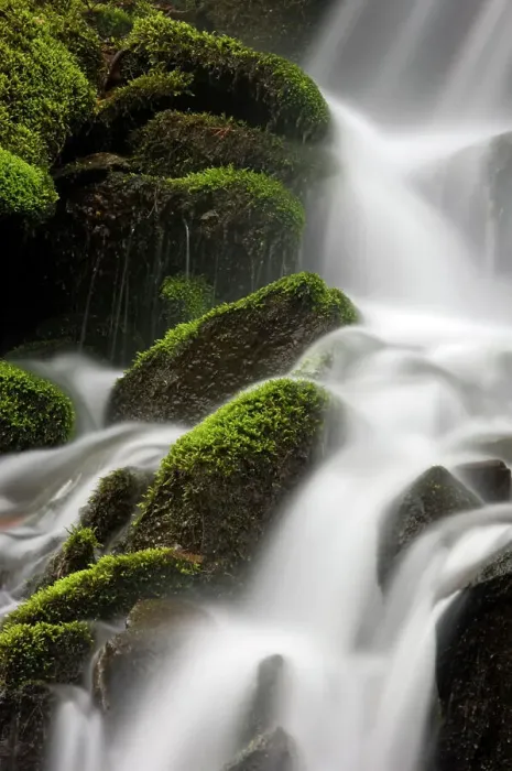 Framed Print : Mossy cascade in tributary of Middle Prong of Little River, Great Smoky Mountains National Park, Tennessee, USA Framed Print : Mossy cascade in tributary of Middle Prong of Little River, Great Smoky Mountains National Park, Tennessee, USA