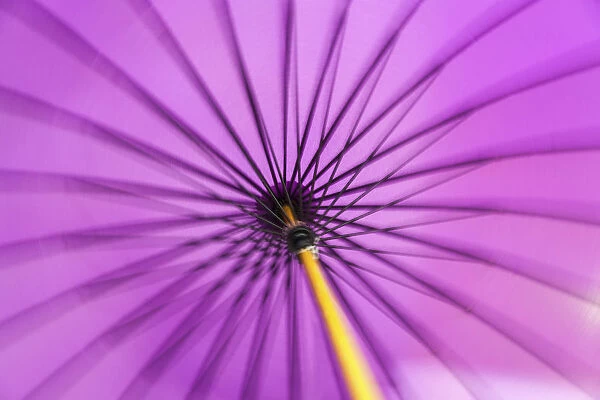 Motion blurred spinning traditional purple Japanese parasol or umbrella with a bamboo