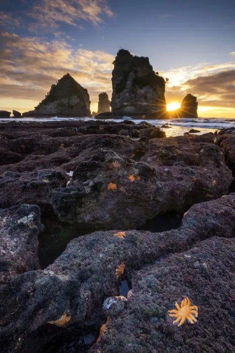 Framed Print : Motukiekie Beach at Sunset, New Zealand Framed Print : Motukiekie Beach at Sunset, New Zealand