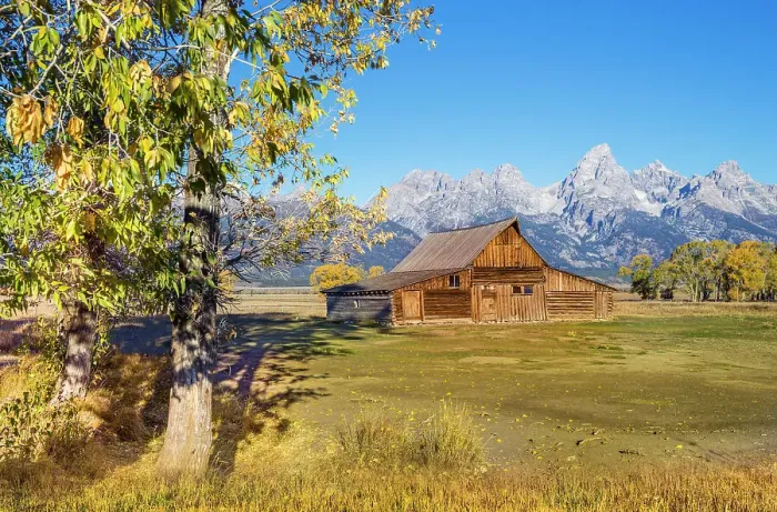 Framed Print : Moulton Barn, Mormon Row, Historic District in Autumn, Fall Foliage with Grand Teton Mountain Range in the Background Grand Teton National Park Wyoming, USA