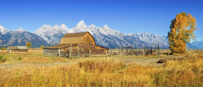 Framed Print : Moulton Barn, Mormon Row, Historic District in Autumn, Fall Foliage with Grand Teton Mountain Range in the Background Grand Teton National Park Wyoming, USA