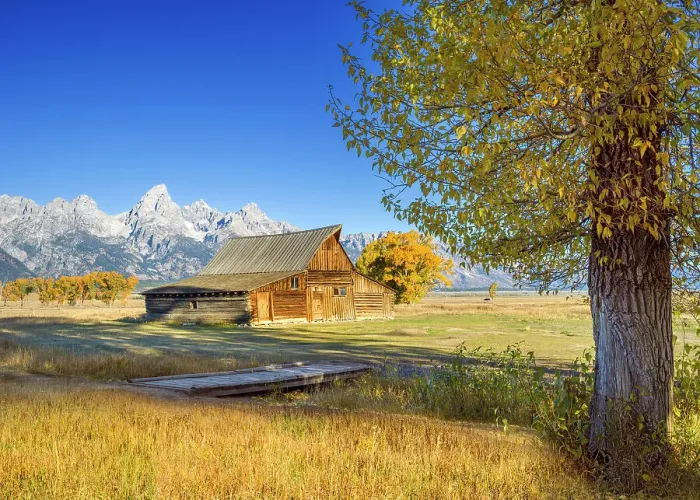 Framed Print : Moulton Barn, Mormon Row, Historic District in Autumn, Fall Foliage with Grand Teton Mountain Range in the Background Grand Teton National Park Wyoming, USA Framed Print : Moulton Barn, Mormon Row, Historic District in Autumn, Fall Foliage with Grand Teton Mountain Range in the Background Grand Teton National Park Wyoming, USA