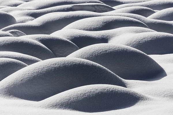 Mounds of snow formed over tussocks of sedges, Zelenci Spring, Kranjska Gora, Slovenia