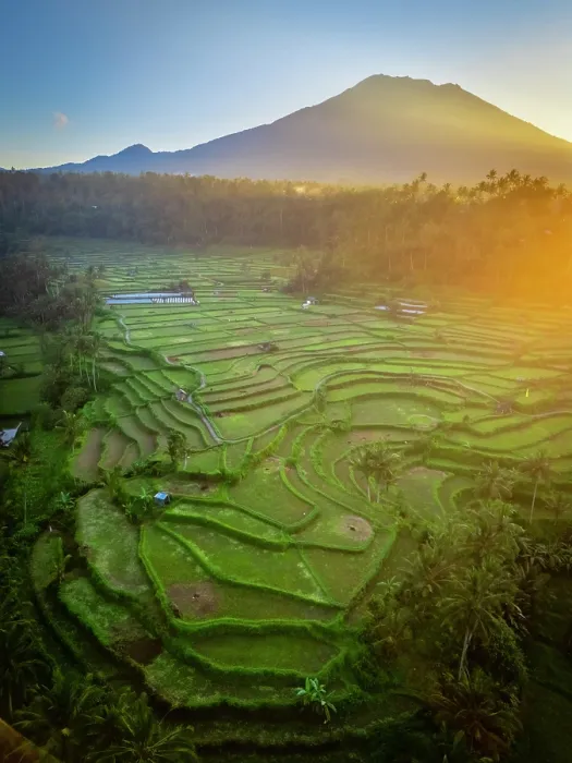 Framed Print : Mount Agung volcano (highest mountain in Bali) and rice terraces, Bali, Indonesia