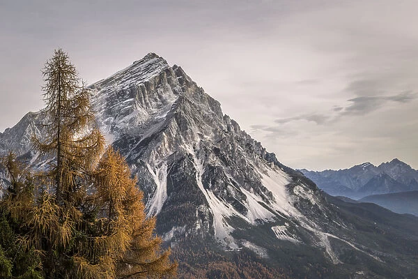 Mount Antelao in autumn, San Vito di Cadore, Boite Valley, Belluno district, Veneto, Italy