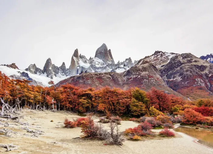 Framed Print : Mount Fitz Roy, Los Glaciares National Park, Santa Cruz Province, Patagonia, Argentina Framed Print : Mount Fitz Roy, Los Glaciares National Park, Santa Cruz Province, Patagonia, Argentina
