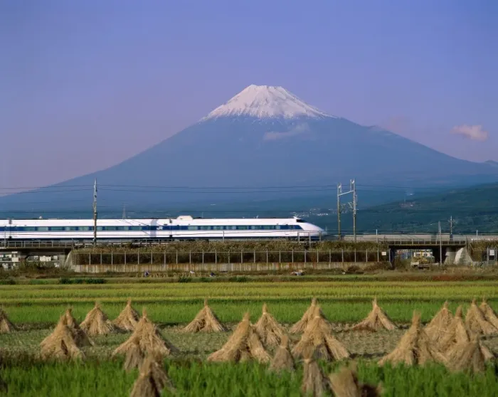 Framed Print : Mount Fuji / Bullet Train & Rice Fields, Fuji, Honshu, Japan Framed Print : Mount Fuji / Bullet Train & Rice Fields, Fuji, Honshu, Japan