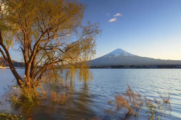 Framed Print : Mount Fuji and Lake Kawaguchi, Yamanashi Prefecture, Japan Framed Print : Mount Fuji and Lake Kawaguchi, Yamanashi Prefecture, Japan
