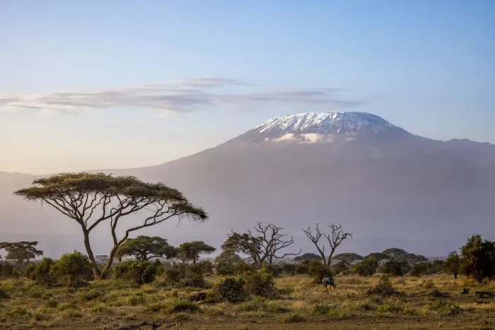 Framed Print : Mount Kilimanjaro, Amboseli National Park, Kenya Framed Print : Mount Kilimanjaro, Amboseli National Park, Kenya