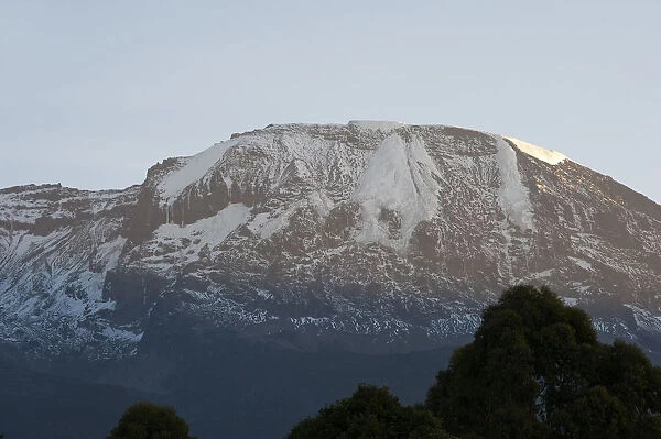 Mount Kilimanjaro with trees in front, from Tanzania