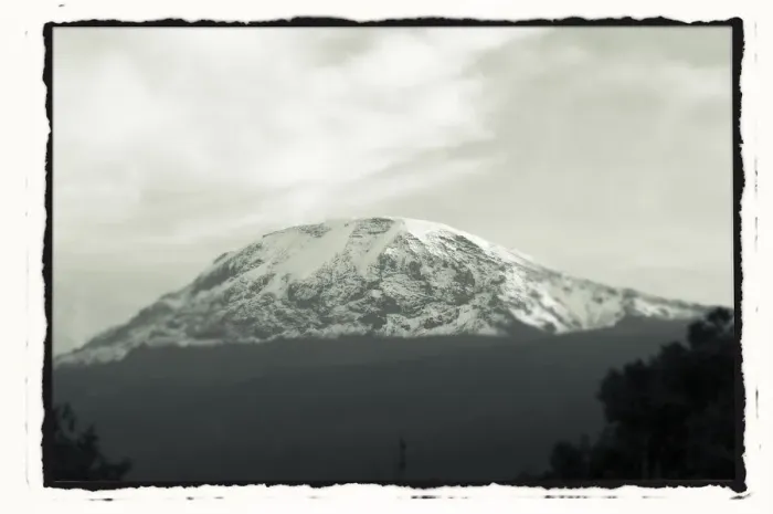 Framed Print : Mount Kilimanjaro with trees in front, from Tanzania Framed Print : Mount Kilimanjaro with trees in front, from Tanzania
