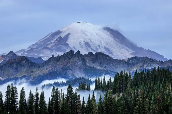 Framed Print : Mount Rainier, Mount Rainier National Park, Washington, USA Framed Print : Mount Rainier, Mount Rainier National Park, Washington, USA