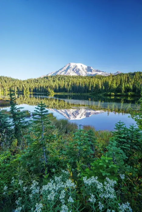 Framed Print : Mount Rainier reflecting in Reflection Lake, Mount Rainier National Park, Washington, USA Framed Print : Mount Rainier reflecting in Reflection Lake, Mount Rainier National Park, Washington, USA
