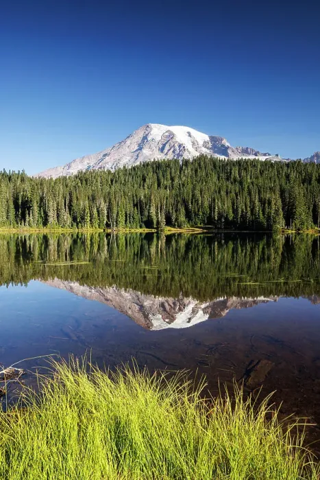 Framed Print : Mount Rainier reflecting in Reflection Lake, Mount Rainier National Park, Washington, USA Framed Print : Mount Rainier reflecting in Reflection Lake, Mount Rainier National Park, Washington, USA