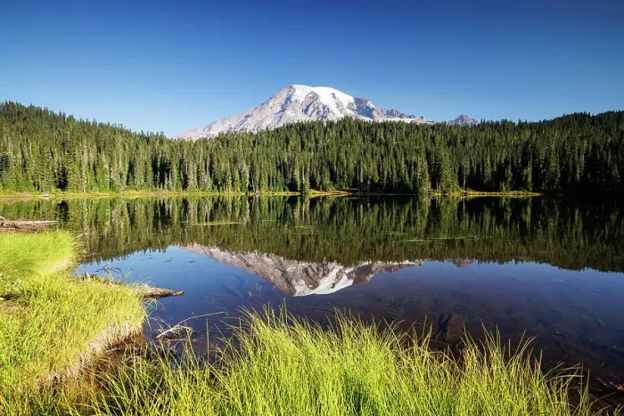 Framed Print : Mount Rainier reflecting in Reflection Lake, Mount Rainier National Park, Washington, USA Framed Print : Mount Rainier reflecting in Reflection Lake, Mount Rainier National Park, Washington, USA