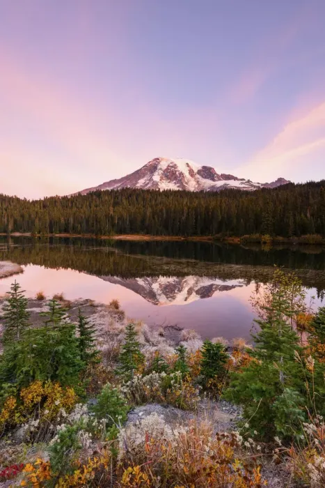 Framed Print : Mount Rainier reflecting in Reflections Lake, Mount Rainier National Park, Washington Framed Print : Mount Rainier reflecting in Reflections Lake, Mount Rainier National Park, Washington