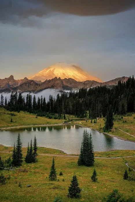 Framed Print : Mount Rainier and Tipsoo Lake, Mount Rainier National Park, Washington, USA