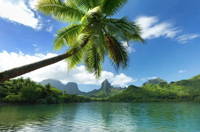 Framed Print : Mount Rotui, Mo'orea, Society Islands, French Polynesia Framed Print : Mount Rotui, Mo'orea, Society Islands, French Polynesia