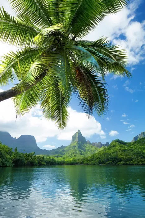 Framed Print : Mount Rotui, Mo'orea, Society Islands, French Polynesia Framed Print : Mount Rotui, Mo'orea, Society Islands, French Polynesia