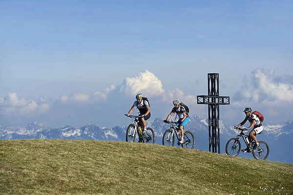 Mountain biker on Monte Roen, Wine Route, Tramin, South Tyrol, Italy, Europe