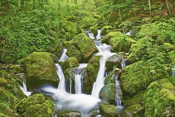 Mountain brook in beech forest - Switzerland, Bern, Bieler See, Twann