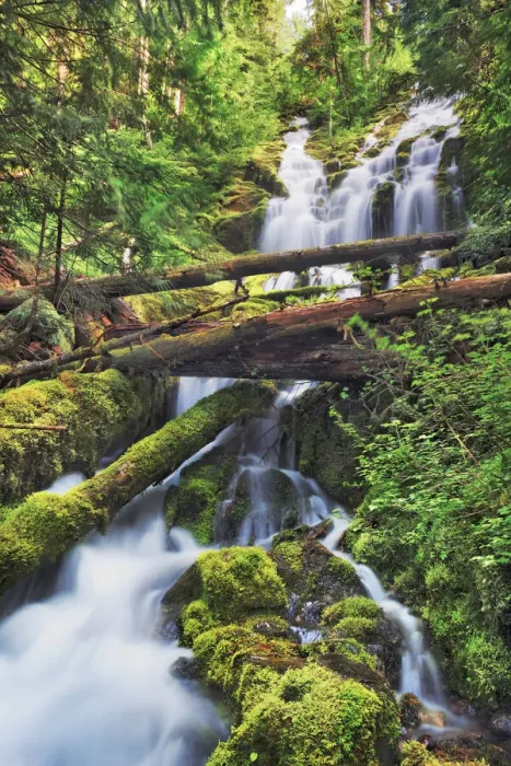 Framed Print : Mountain brook with deadwood - USA, Oregon, Lane, Upper Proxy Falls - Cascade Range Framed Print : Mountain brook with deadwood - USA, Oregon, Lane, Upper Proxy Falls - Cascade Range