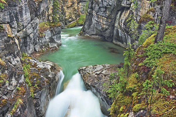 Mountain brook Maligne River through Maligne Canyon - Canada, Alberta