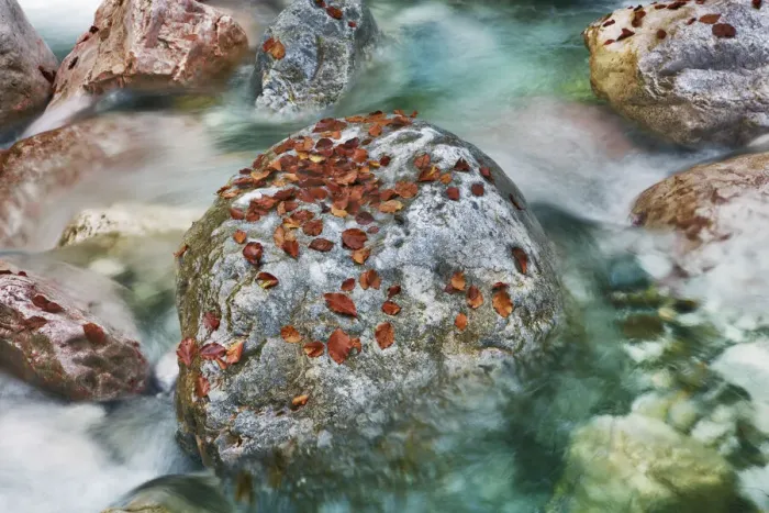 Framed Print : Mountain brook and rocks with autumn leaves - Austria, Carinthia, Hermagor Framed Print : Mountain brook and rocks with autumn leaves - Austria, Carinthia, Hermagor