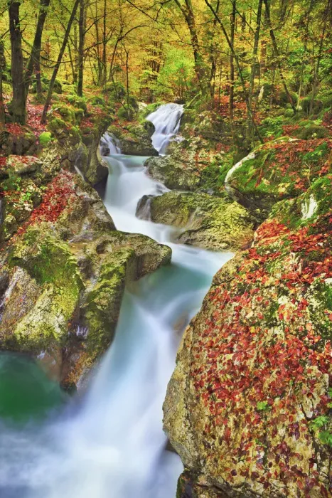 Framed Print : Mountain brook with waterfall in beech forest - Slovenia, Primorska, Soca, Lepena Framed Print : Mountain brook with waterfall in beech forest - Slovenia, Primorska, Soca, Lepena