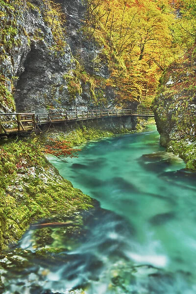 Mountain brook with wooden footbridges through canyon - Slovenia, Gorenjska, Bled