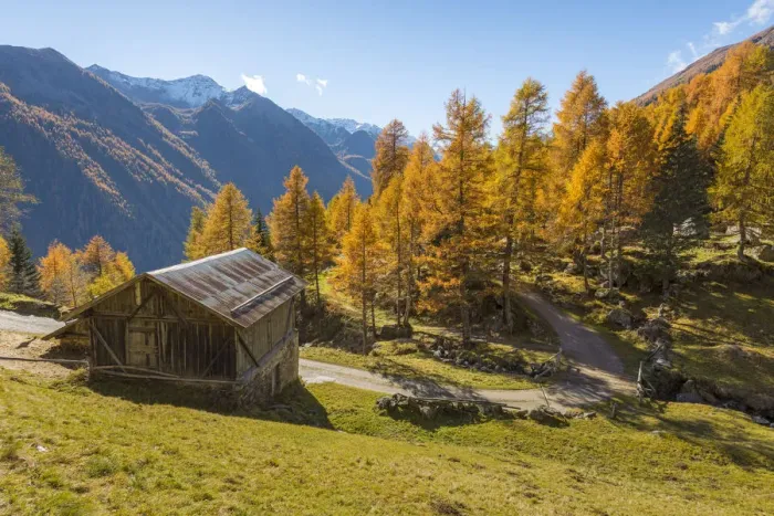 Framed Print : Mountain hut in autumn Europe, Italy, Trentino region, Trento district, Pejo valley Framed Print : Mountain hut in autumn Europe, Italy, Trentino region, Trento district, Pejo valley