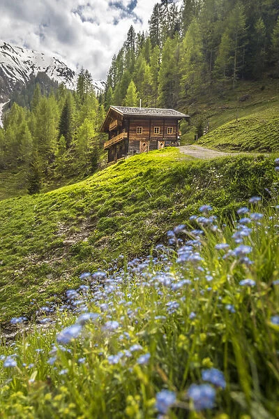 Mountain hut in the Rosstal valley above Kalkstein, Villgratental, East Tyrol, Tyrol, Austria