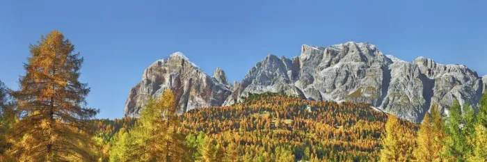 Framed Print : Mountain impression autumnal larch forest at Tofana de Rozes - Italy, Veneto, Belluno