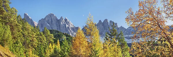 Mountain impression Gruppo delle Odle and larches in autumn - Italy, Trentino-Alto Adige