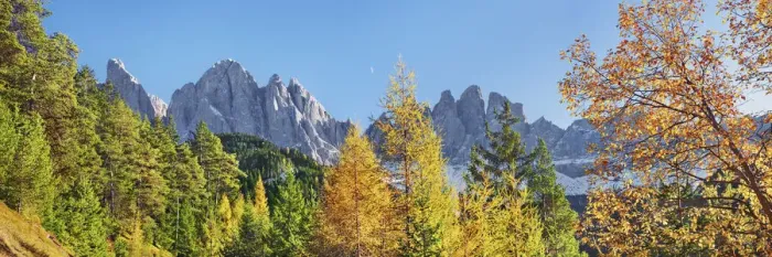 Framed Print : Mountain impression Gruppo delle Odle and larches in autumn - Italy, Trentino-Alto Adige Framed Print : Mountain impression Gruppo delle Odle and larches in autumn - Italy, Trentino-Alto Adige