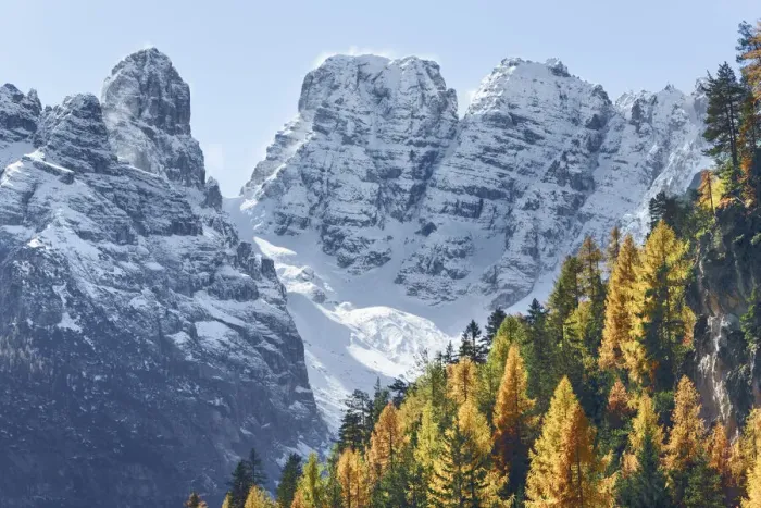 Framed Print : Mountain impression larch forest and Gruppo del Cristallo - Italy, Trentino-Alto Adige Framed Print : Mountain impression larch forest and Gruppo del Cristallo - Italy, Trentino-Alto Adige