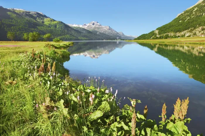 Framed Print : Mountain impression mirroring Bernina Group in Lake Silvaplana - Switzerland, Graubunden Framed Print : Mountain impression mirroring Bernina Group in Lake Silvaplana - Switzerland, Graubunden