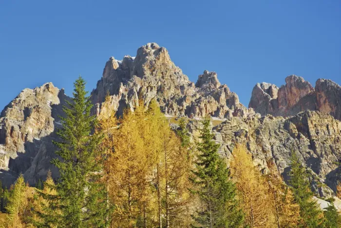 Framed Print : Mountain impression Monte Cristallo and larches in autumn - Italy, Veneto, Belluno