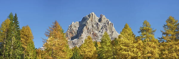 Mountain impression Monte Pelmo and larches in autumn - Italy, Veneto, Belluno