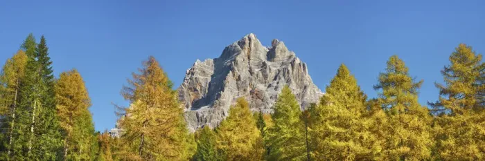 Framed Print : Mountain impression Monte Pelmo and larches in autumn - Italy, Veneto, Belluno