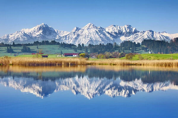 Mountain impression reflection Allgaeu Alps - Germany, Bavaria, Swabia, Forggensee