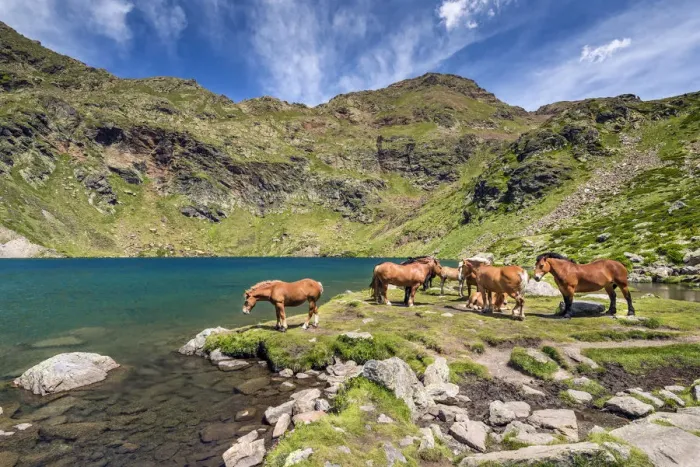 Framed Print : Mountain lake, Estanys de Tristaina, Arcalis, Andorra Framed Print : Mountain lake, Estanys de Tristaina, Arcalis, Andorra