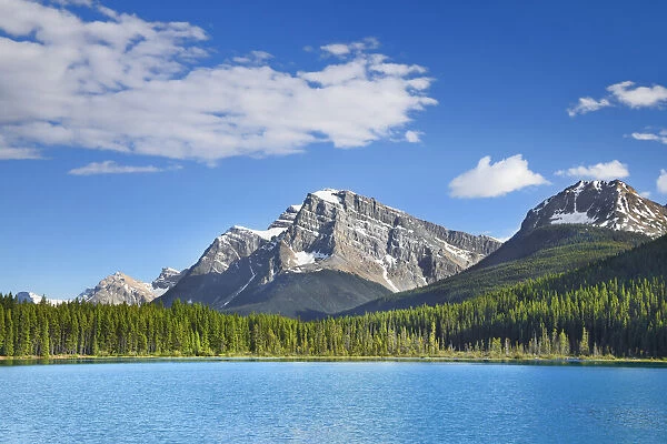 Mountain landscape at Waterfowl Lake - Canada, Alberta, Banff National Park