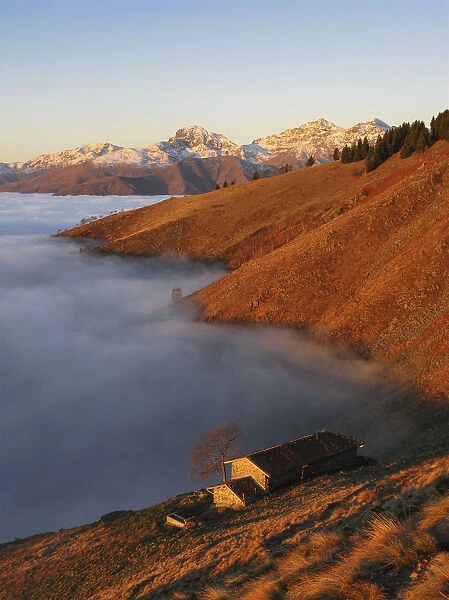 Mountain pasture over the clouds at sunrise (Bielmonte, Veglio, Biella province, Piedmont