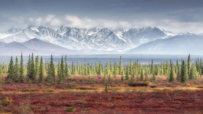 Framed Print : Mountain range from Denali highway, Alaska, in autumn Framed Print : Mountain range from Denali highway, Alaska, in autumn