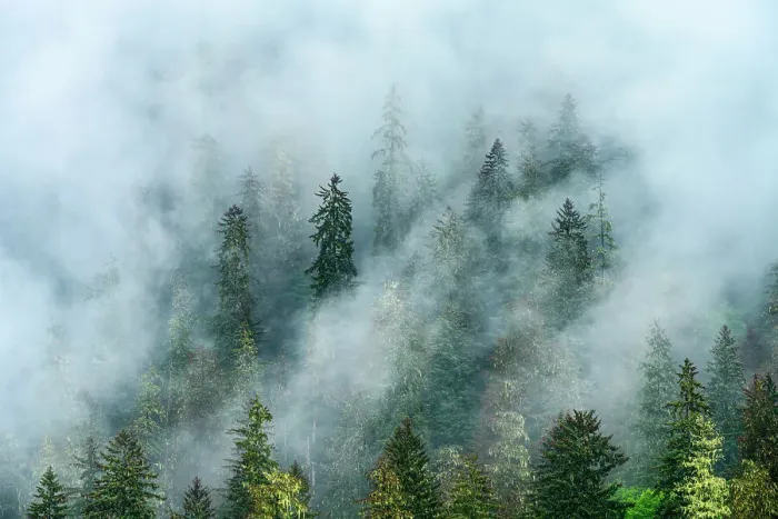 Framed Print : Mountain slopes with low clouds, Juneau, Alaska, USA